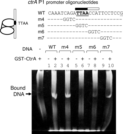 FIG. 10.