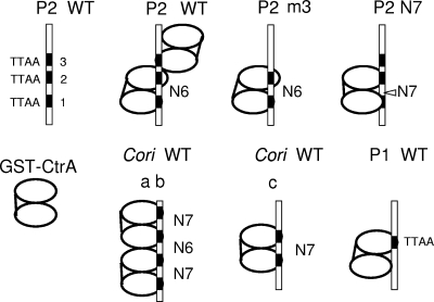 FIG. 9.