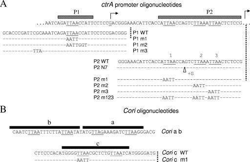 FIG. 8.