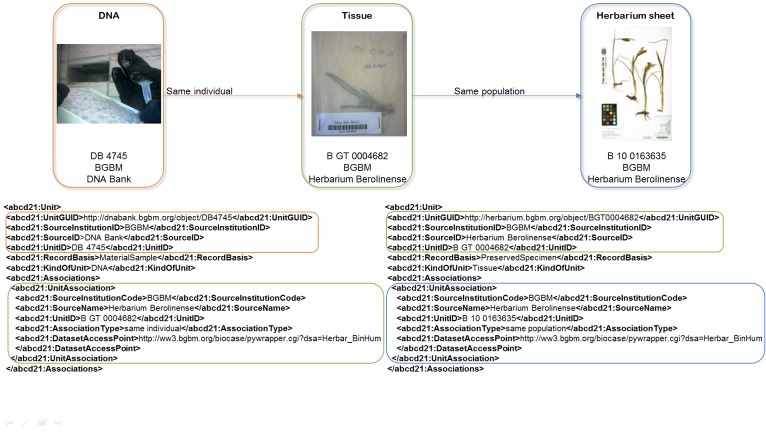 Fig 3