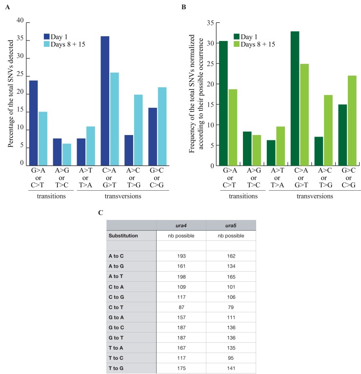 Figure 2—figure supplement 1.