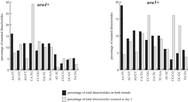 Figure 2—figure supplement 2.