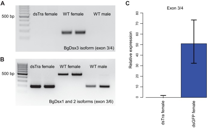 Figure 6.