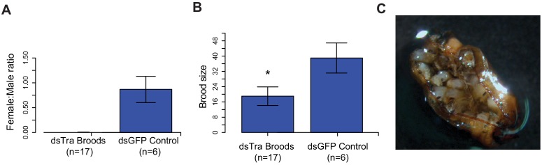 Figure 5.