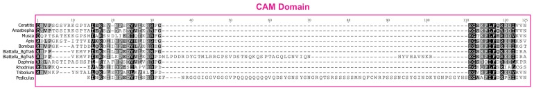 Figure 1—figure supplement 5.