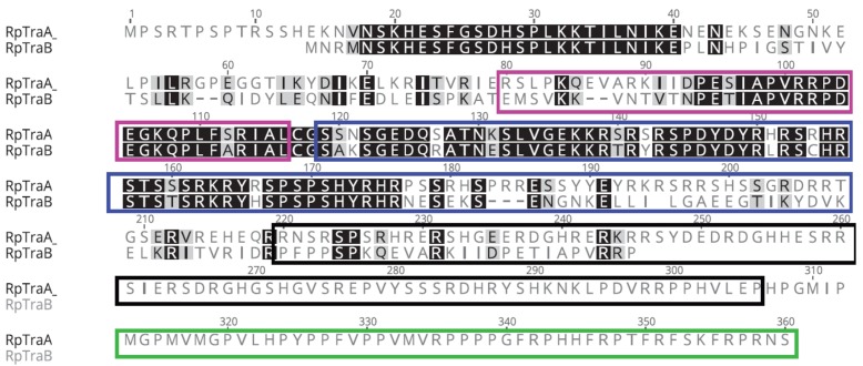 Figure 1—figure supplement 2.