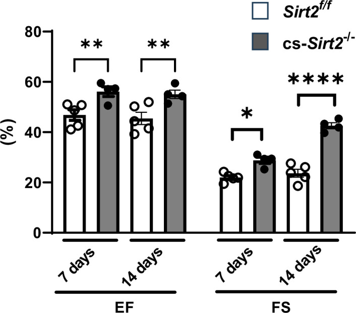 Figure 4—figure supplement 2.