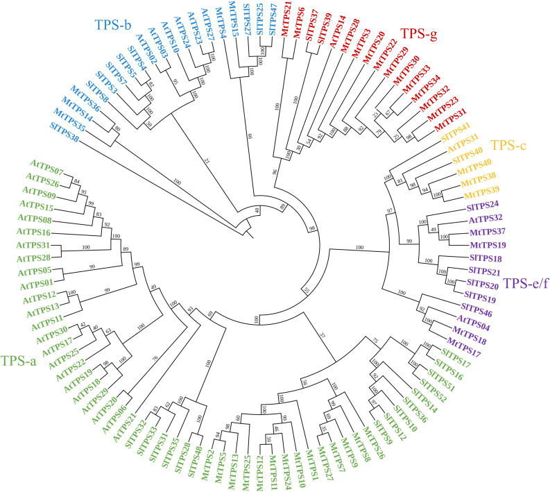Figure 2