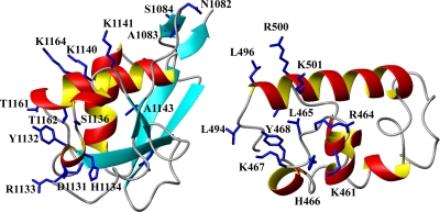 FIG. 7.