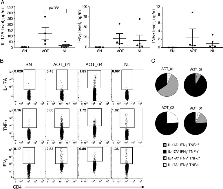 Figure 5.