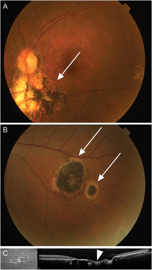 Figure 1.