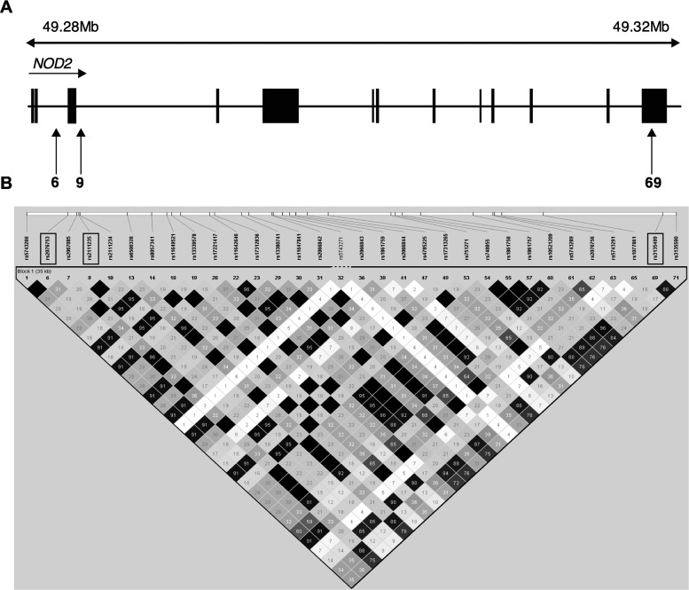 Figure 2.