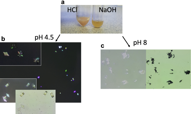 Figure 3