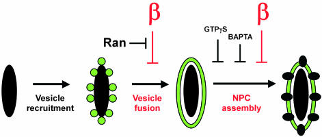 Figure 9.