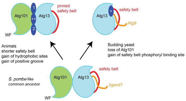 FIGURE 7