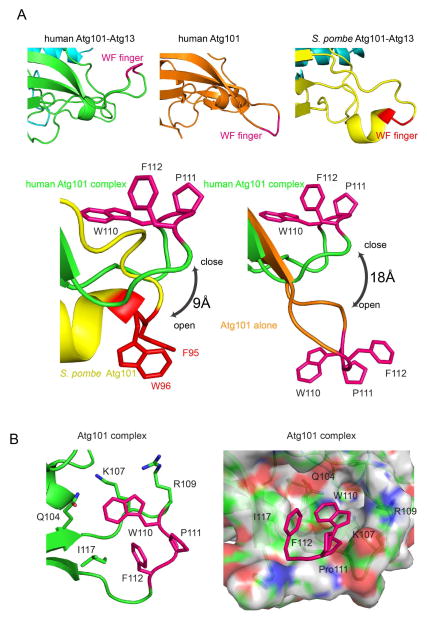 FIGURE 4