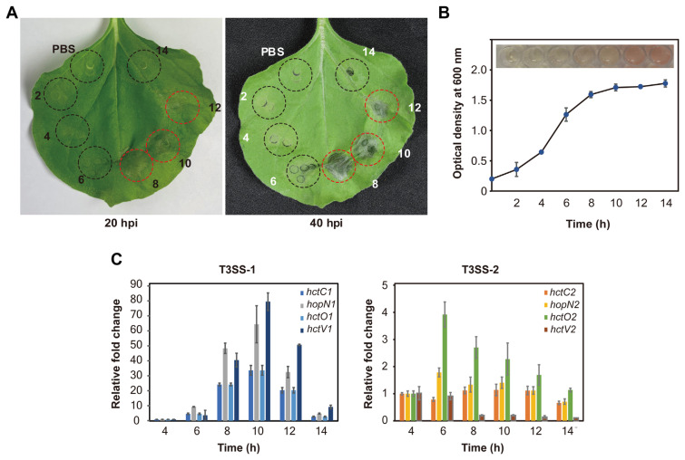 Fig. 2