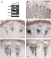 Figure 13.