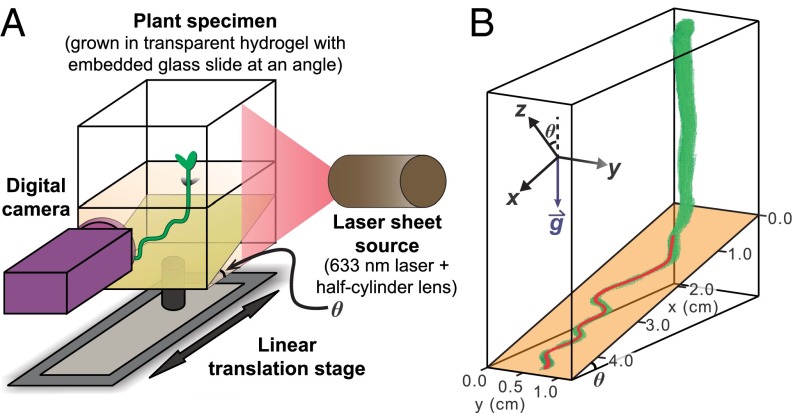 Fig. 1.