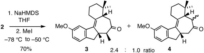 Scheme 2