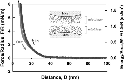 FIGURE 9.