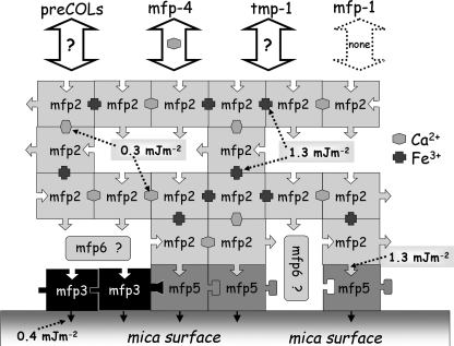 FIGURE 12.