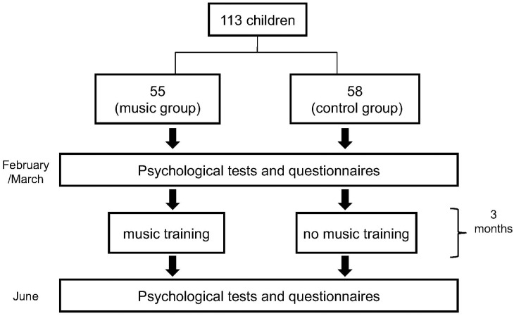 FIGURE 1