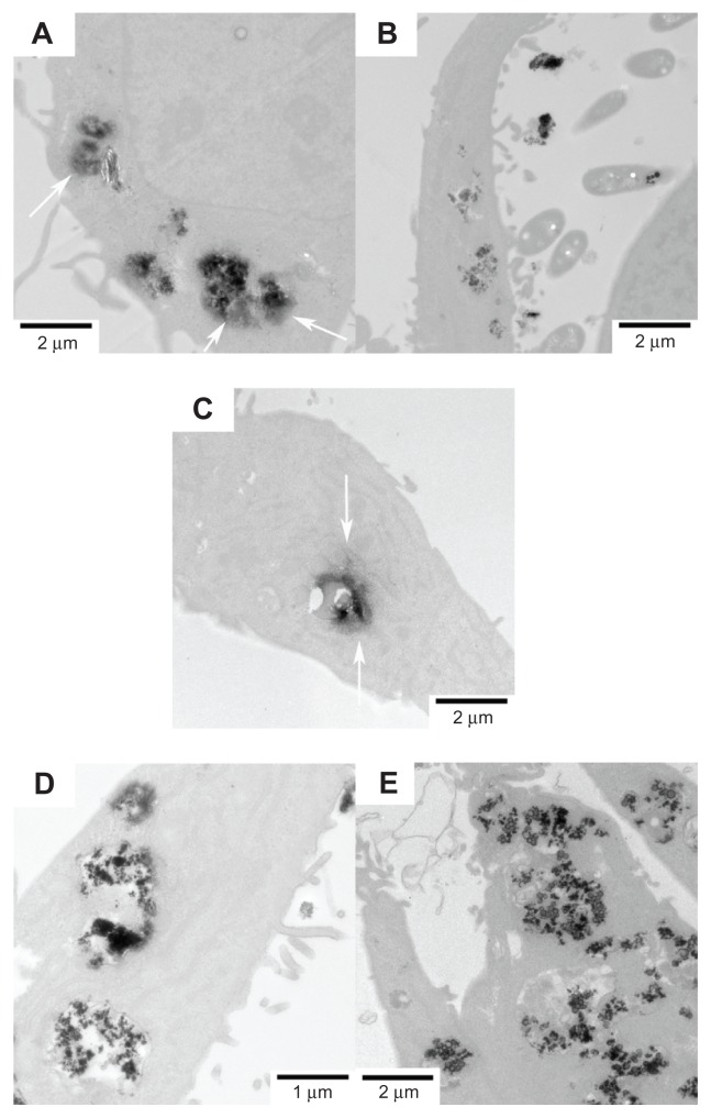 Figure 10