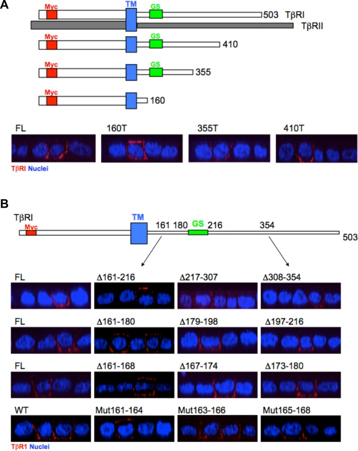 FIGURE 1: