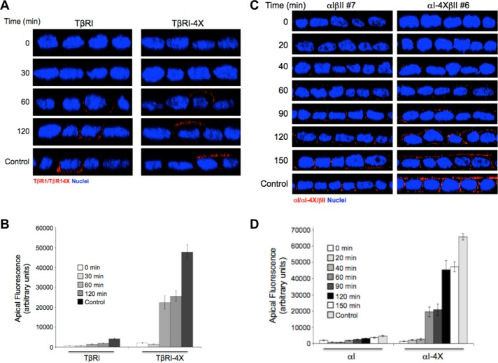 FIGURE 4: