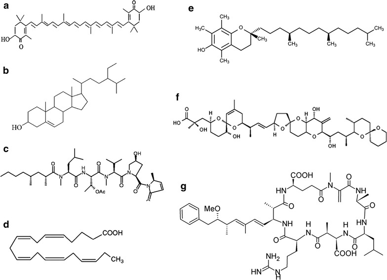 Fig. 4