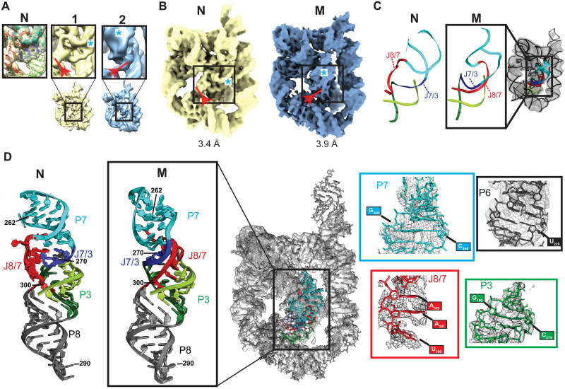 Fig. 2.