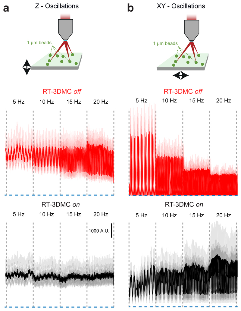 Extended Data Fig. 5