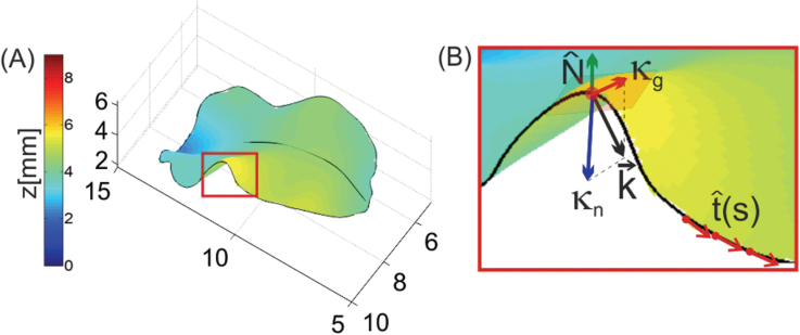 Fig. 1.