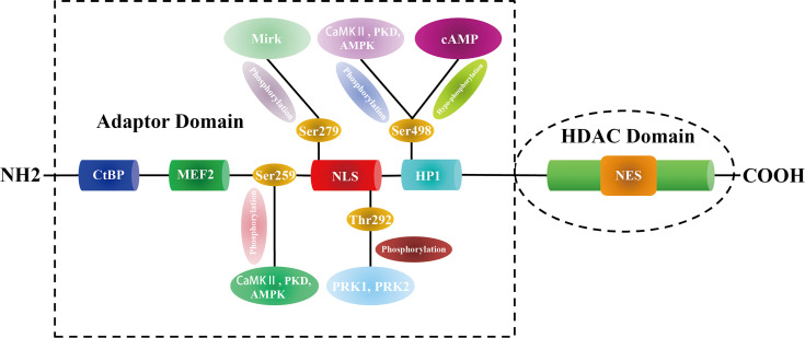 Figure 1