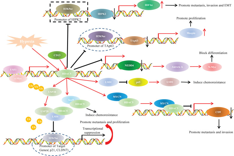 Figure 4