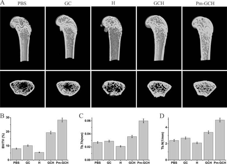 Fig. 9