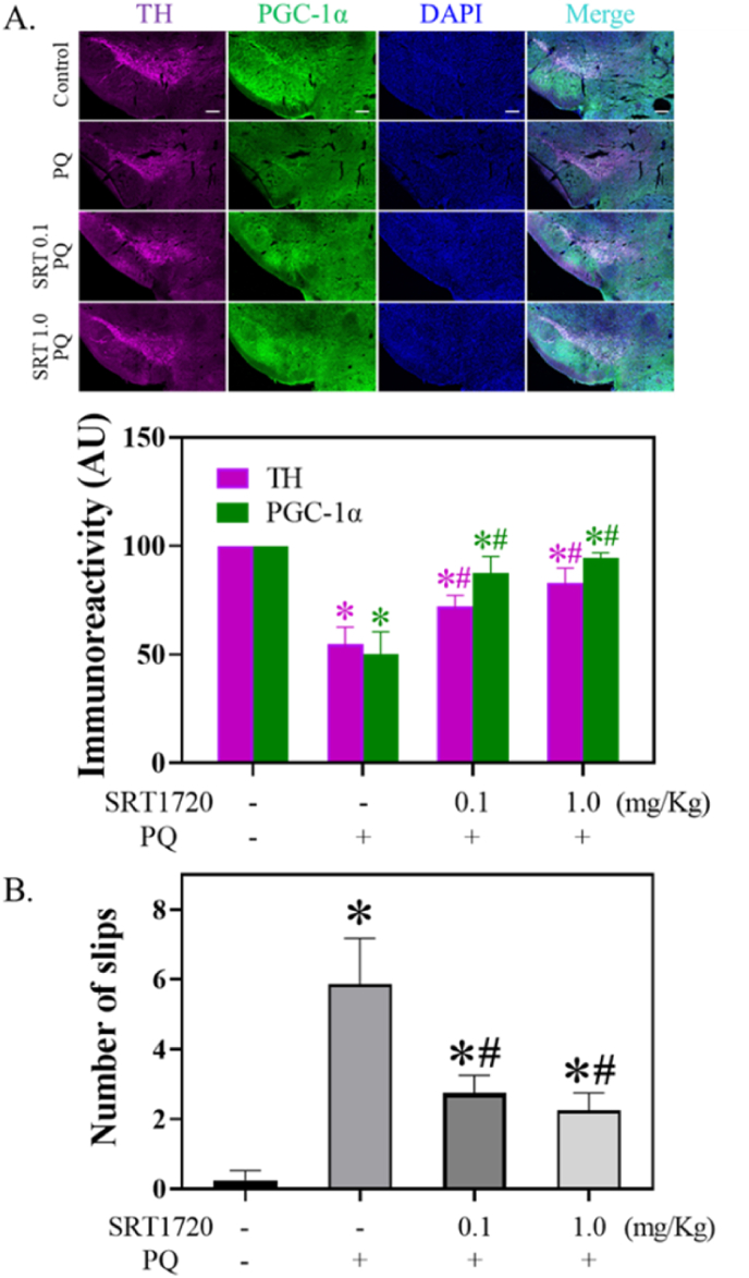 Fig. 8