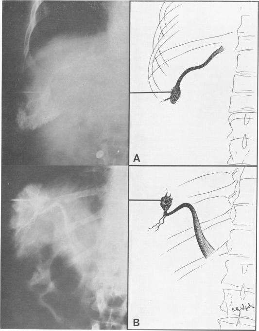 Fig. 8.