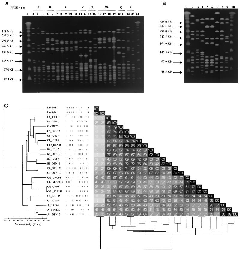 FIG. 1.