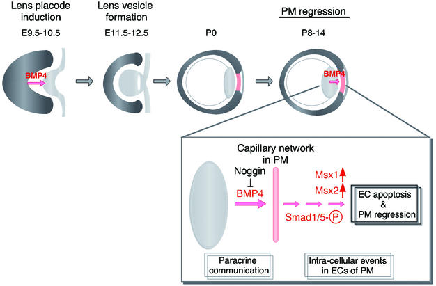 FIG. 10.