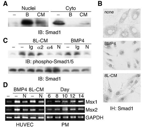 FIG. 7.