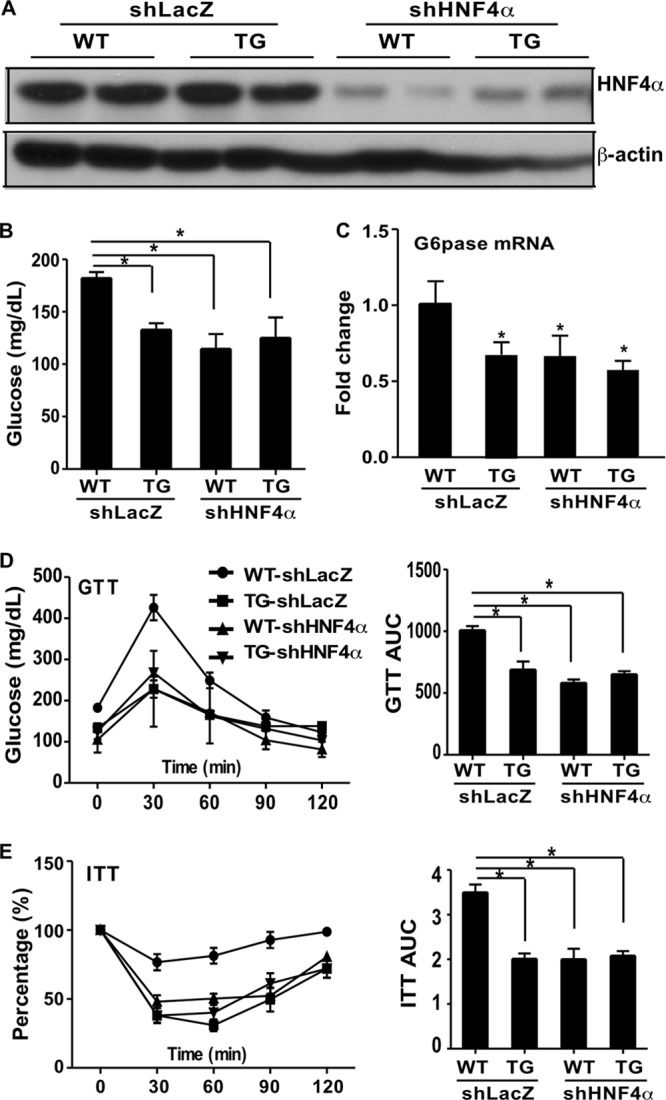 FIG 6