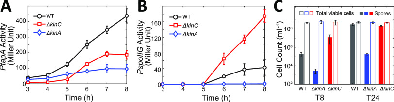 FIG 1