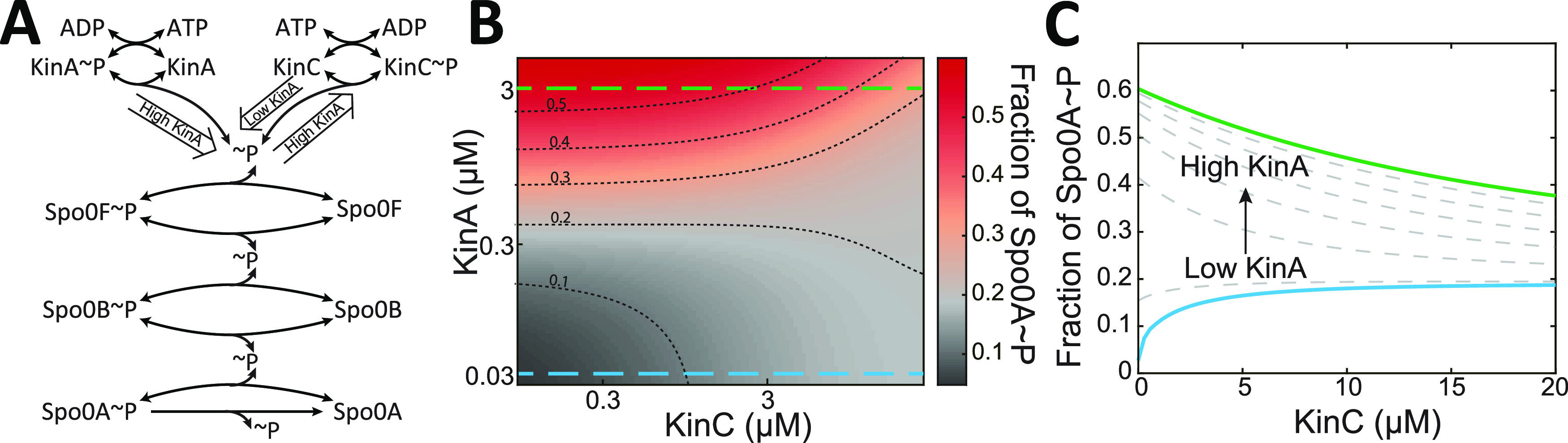 FIG 2