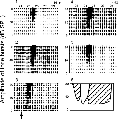 FIG. 7.