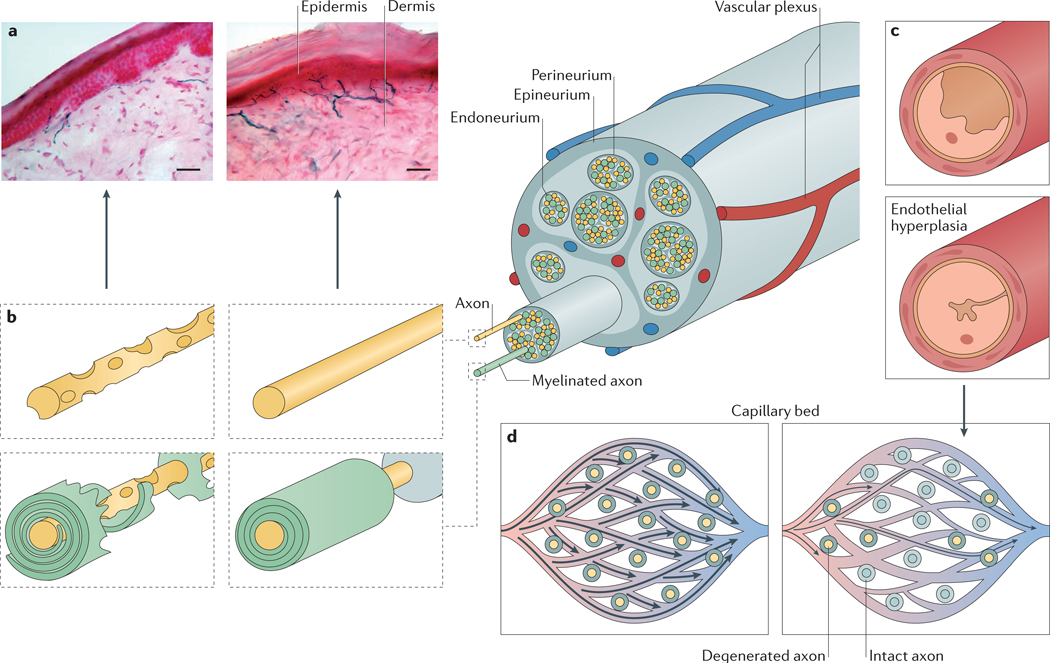 Figure 1 |