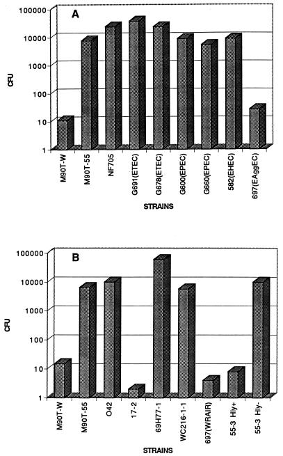 FIG. 1