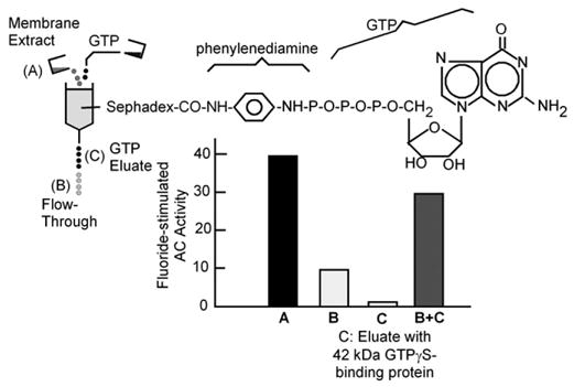 Fig. 13