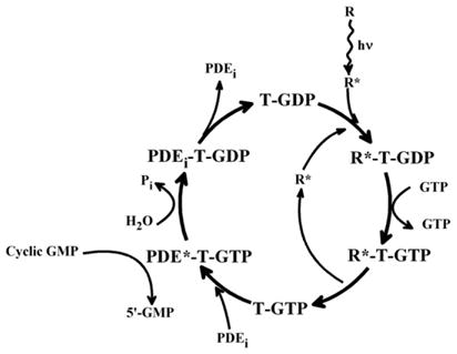 Fig. 15